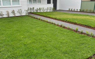 Gutter Cleaning