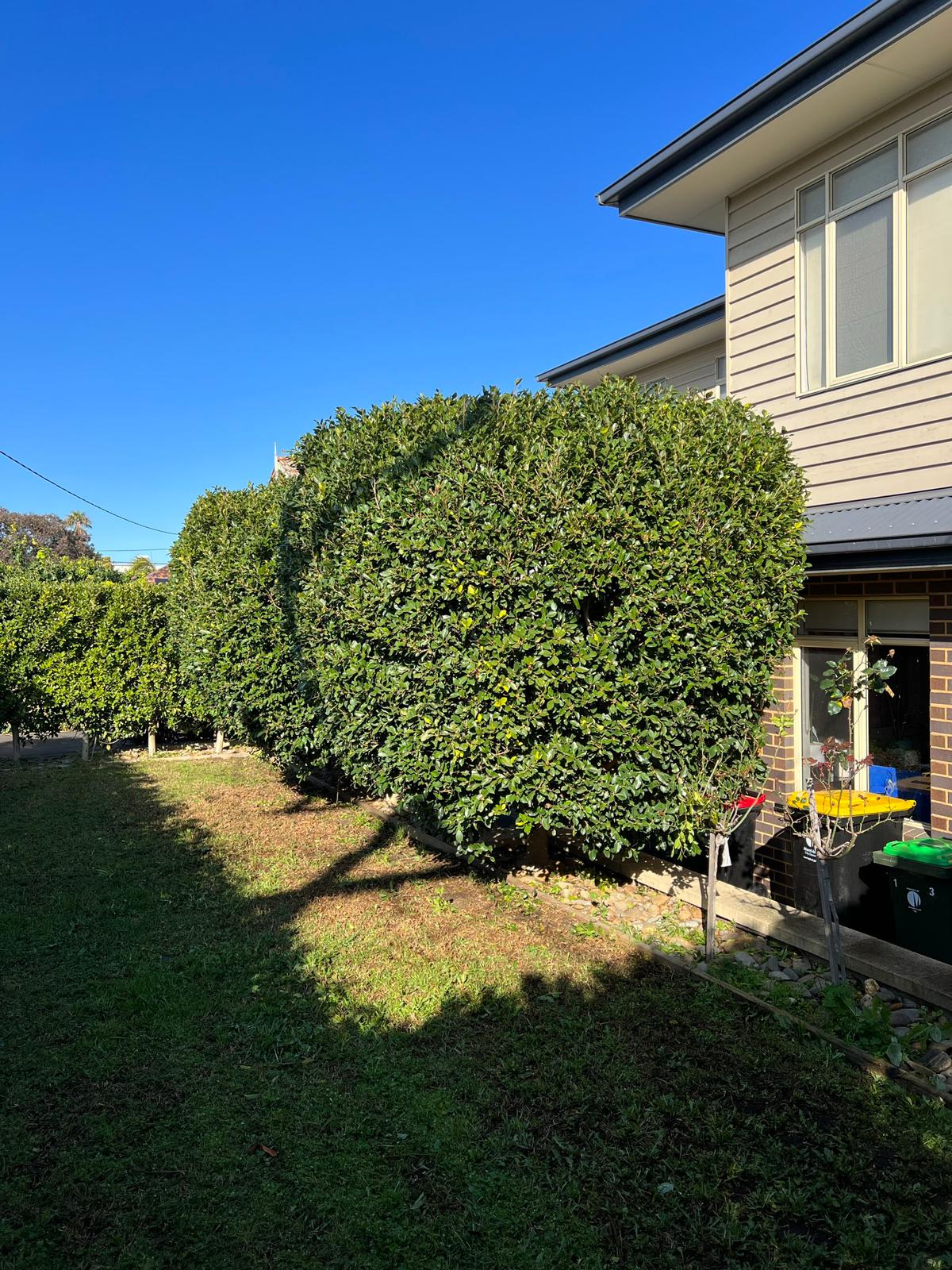 Pascoe Vale Gardener Melbourne Australia