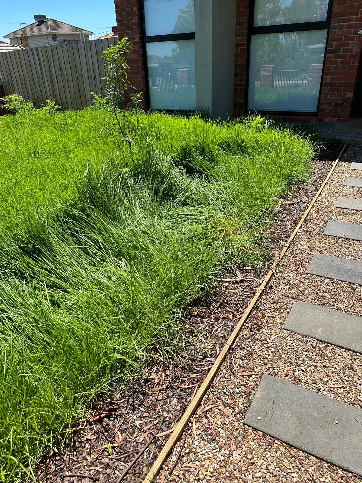 Eds Mowing Gardener Pascoe Vale