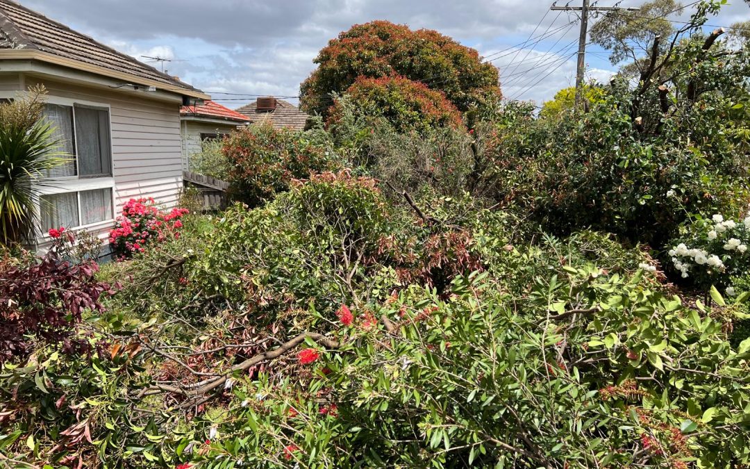 NDIS Gardening
