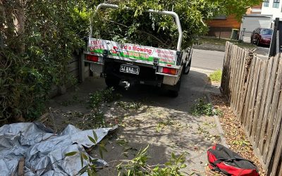 Gardening