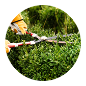 Ed's Mowing Melbourne gardening services